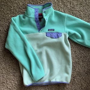 Discontinued PATAGONIA Synchilla pullover